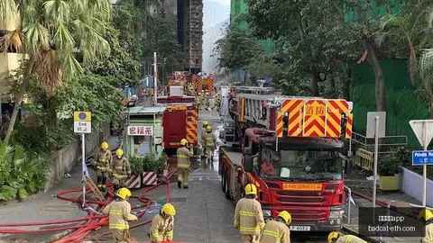 海沃德重伤见证绿军16连胜之苦足球博彩app登录：内心挣扎，球队依赖之谜揭晓